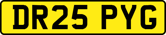 DR25PYG