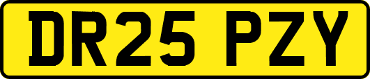 DR25PZY