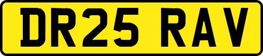 DR25RAV