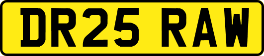 DR25RAW