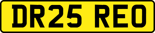 DR25REO