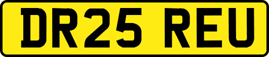 DR25REU