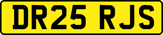 DR25RJS