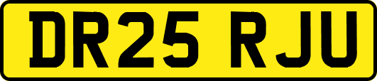 DR25RJU