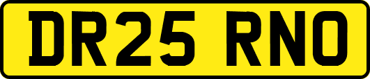 DR25RNO