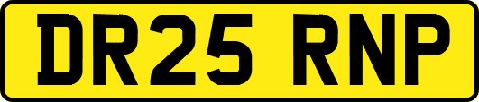 DR25RNP