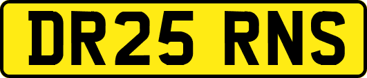 DR25RNS