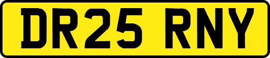 DR25RNY