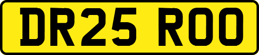 DR25ROO