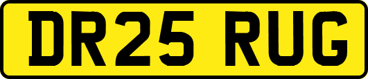 DR25RUG