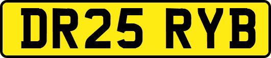 DR25RYB