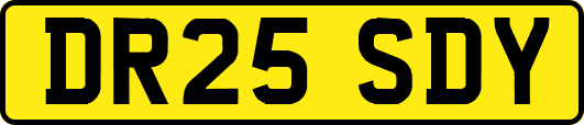 DR25SDY