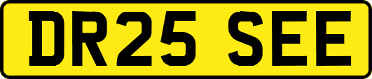 DR25SEE
