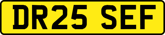 DR25SEF
