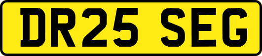 DR25SEG