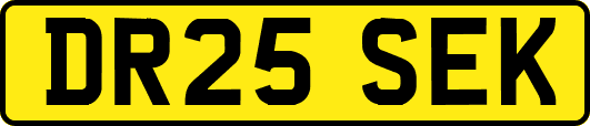 DR25SEK