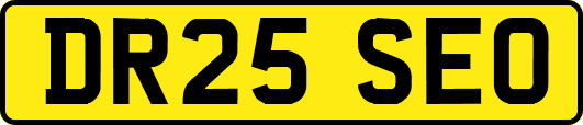 DR25SEO