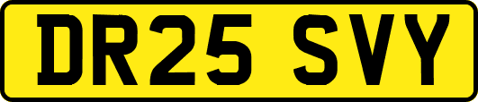 DR25SVY