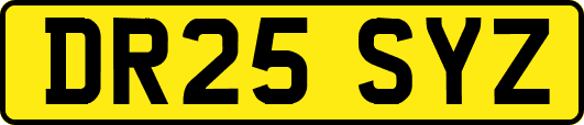 DR25SYZ