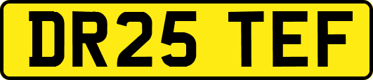 DR25TEF