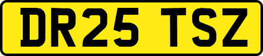 DR25TSZ