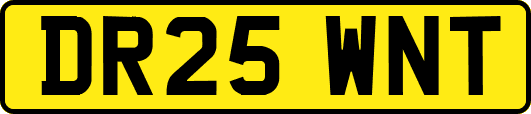 DR25WNT