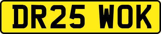 DR25WOK