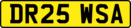 DR25WSA