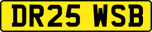 DR25WSB
