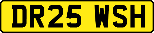 DR25WSH
