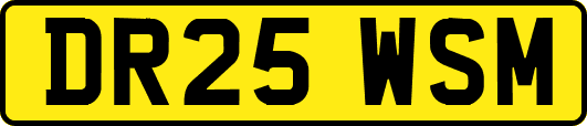 DR25WSM