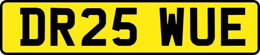 DR25WUE