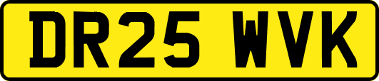 DR25WVK