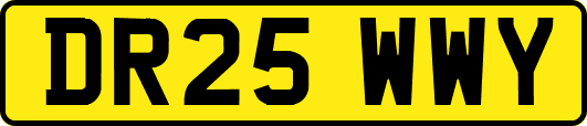 DR25WWY