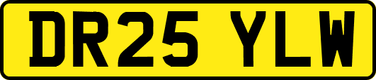 DR25YLW