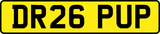 DR26PUP