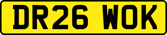 DR26WOK