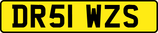 DR51WZS