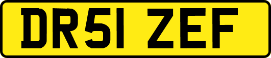 DR51ZEF