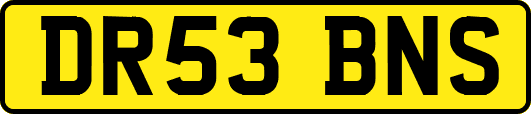 DR53BNS