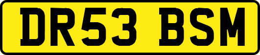 DR53BSM