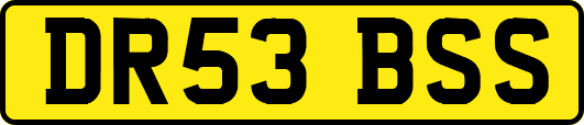 DR53BSS