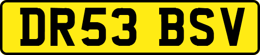 DR53BSV