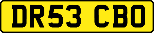 DR53CBO