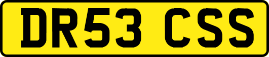 DR53CSS