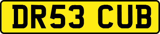 DR53CUB