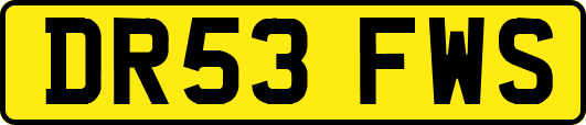 DR53FWS