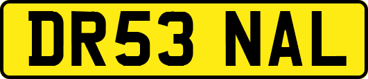 DR53NAL