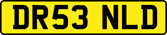 DR53NLD