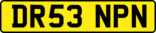 DR53NPN